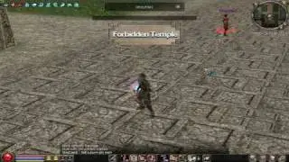 Metin2.Us - rynaqui 40k Damage Ghost