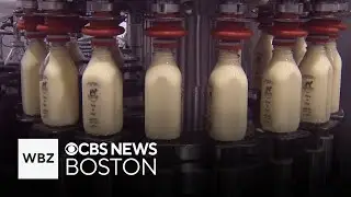 Sharon, Massachusetts dairy bar making eggnog the same way for nearly 100 years