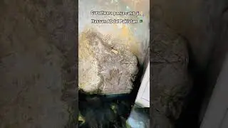 Panja sahib gurudwara sahib Hasan Abdal pakistan