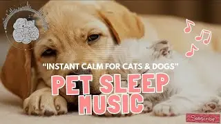 Cat Sleep Musid and Dog Sleep Music 🐱🐶 | Comforting Sounds Pets Trust When They Feel Anxious