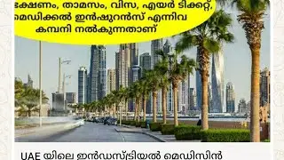 Nursing job opportunities UAE AbuDhabi|#nursingjobs | SPARK LEARN-PSC AND JOBS
