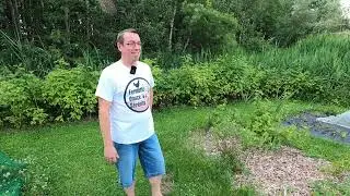 Le Jardin chez Douce Sérénité !