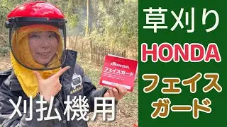 HONDA刈払機のオイル交換とHONDAのフェイスガードをレビュー