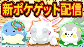 ホリデーイベント新ポケモン「ハルクジラ/ホリデータマザラシ/トゲデマル」をゲットする伝説のポケスリ睡眠リサーチ配信【ポケモンスリープ】
