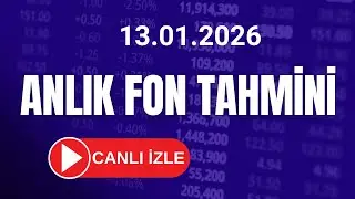 TEFAS Fon Takibi - TLY,  DFI, ROF Fonu ve Altın - G&uuml;m&uuml;ş Spot Anlık Tahmini 13.01.2026 part 2