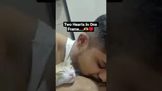 &hearts;️Two Hearts in one frame &hearts;️#cuteness #cat #love #bonding #catlovers