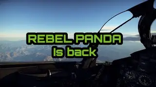 Rebel Panda is Back!!!