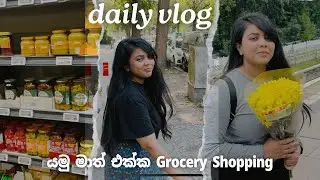 ජර්මනියේ පරක්කු වෙලා වැඩට ගිහාම 😬 A Weekend Vlog 🥝🍎🥐