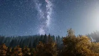 Harmony in Tranquility: Relaxing Music Amidst Nature's Gentle Embrace 🍃🎶