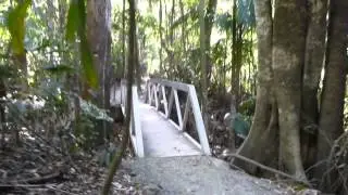 Hiking on the Gold Coast... Really?
