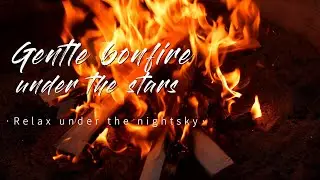 Starry Serenity / a tranquil night by the bonfire