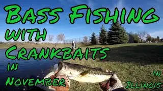 Bass Fishing with Crankbaits in November (ft.suburbanangling & Rick)