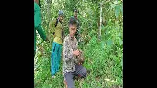 DOA CARA MENJINAKAN LEBAH, LIAR YANG GANAS, #lebah #shorts #shortvideo