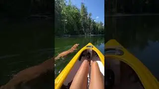 Dog's Refreshing Morning Swim Next to Owner's Kayak