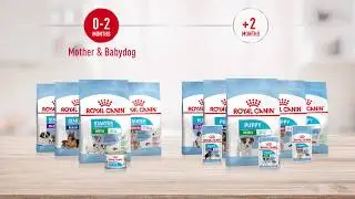 Tailored nutrition to help meet mother and puppies' specific needs