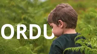 This Is Ordu!