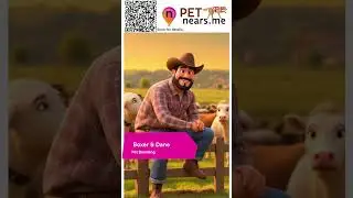 Boxer & Dane Pet Hotel & Doggy Daycare - Pet Boarding Service | Pet Near Me USA  10