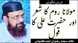 Molana Room ka Sher Or Hazrat Ali ka Kol . Behtreen Nasehat || Dars e Masnawi