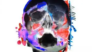 Jaco (IT): Skin