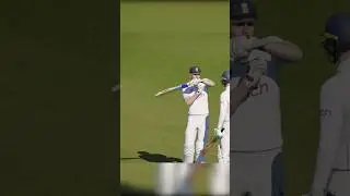 Umpire said OUT! ☝️ But look at the Replay... 🤯 #Cricket24 #DRS #shorts #gaming