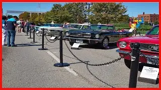 Durable Plastic Barrier Chain for Flexible Crowd Control and Property Protection