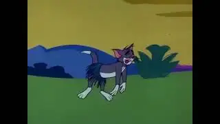 Tom Cat Jump And Hiccup In 1 Minutes