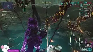 Sebi plays  warframe. stuck building relationship