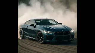 Testing the Limit of Car Diving (and the Insurance Company)