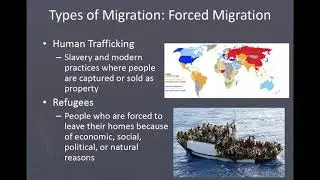 Types of Migration