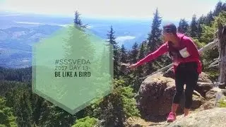#SSSVEDA 2017- Day 13 BE LIKE THIS BIRD