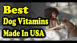 Best Dog Vitamins Made In USA