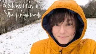 A SLOW DAY IN THE HIGHLANDS | Woodland Walks, the Horses and a Spot of Soup