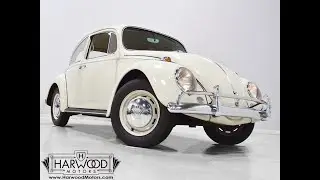 117049 1966 Volkswagen Beetle *SOLD*