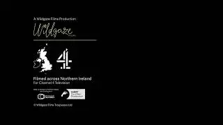 Wildgaze Films/Channel 4 Television (2025)