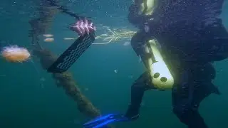Swedish robot submarines learn how to make their own decisions
