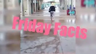 Friday Facts