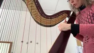 Tuto: changer une corde de harpe en boyau du registre medium grave (2/8 quelle corde commander?)