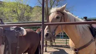 Riding Stables and Trail Rides in Medora, ND