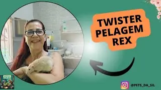 RATO TWISTER PELAGEM REX EP 1