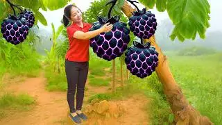 Harvesting 1000 Kg Mutant Custard Apple On The Hill Goes To Market Sell | Diem - Free Bushcraft