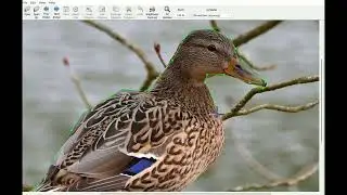 Instance Segmentation Using Labelme