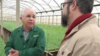 Diario del Campo visita los semilleros de Agromark