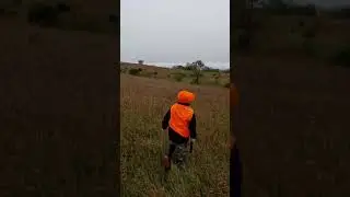 Alex find deer