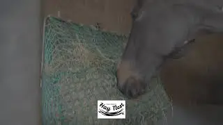 The Hay Nest