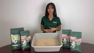 How to Use Your New Litter Box Deodorizer
