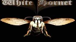 White Hornet - Seven Year Storm (Steven Seagal's Hard To Kill) Theme Cover