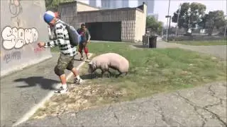 GTA V Franklin Peyote Pig