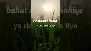 yah naseeb walo ko milta hai#villagelife #desivlog#mornigvibes#shortsfeed #shorts #kisan#minivlog