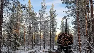 Vain yksi kuorma... Motomies hakee ensiharvennukselta kuitu kuorman valmetilla
