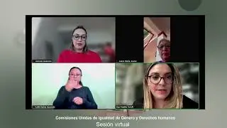 Comisiones Unidas de Igualdad de G&eacute;nero y Derechos humanos